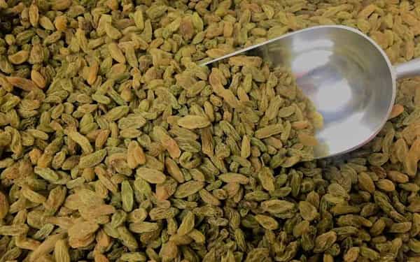 تصویر 5 از قیمت خرید کشمش سبز قلمی + فروش ویژه
